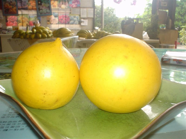 20种不常见但很好吃的怪异水果,非洲角瓜绝对是吃货的追求--置顶表情